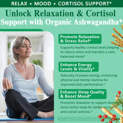 Organic Ashwagandha Drops,High Absorption Ashwagandha Extract Tincture for Stress Relief,Relaxation,Cortisol Support,Ashwagandha for Women & Men with Magnesium,L Theanine,Black Seed Oil,Vegan,Non-GMO - dailyvitalstore