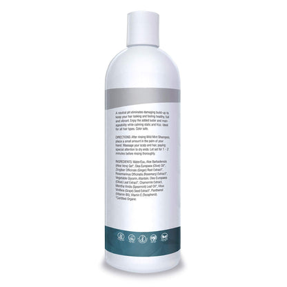 Organic Excellence Wild Mint Conditioner, 16 Fluid Ounce - dailyvitalstore