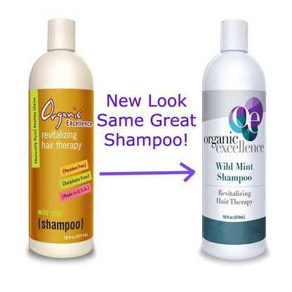 Organic Excellence Wild Mint Shampoo - 16 oz - dailyvitalstore