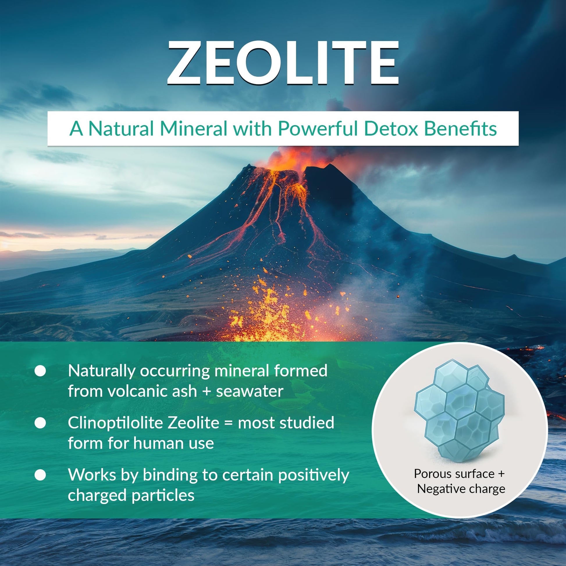 Organic Excellence Zeolite Clinoptilolite Powder – Pure Micronized Mineral Supplement – Supports Gut Health, Cleansing Support & Internal Balance – Non-GMO, Vegan – 500 Servings - dailyvitalstore