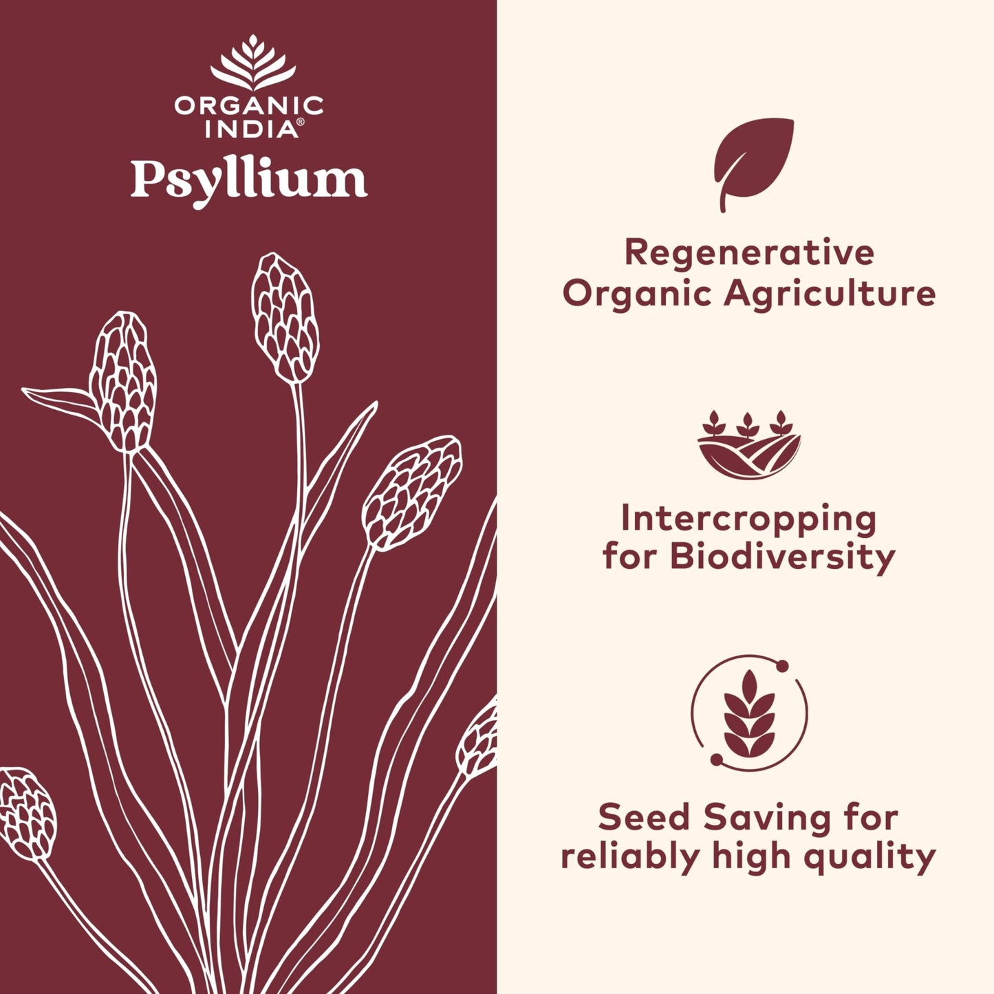 ORGANIC INDIA Psyllium Husk Capsules - Fiber Supplement, Healthy Elimination - Vegan, Keto Friendly, Gluten-Free, USDA Certified Organic, Non-GMO - dailyvitalstore