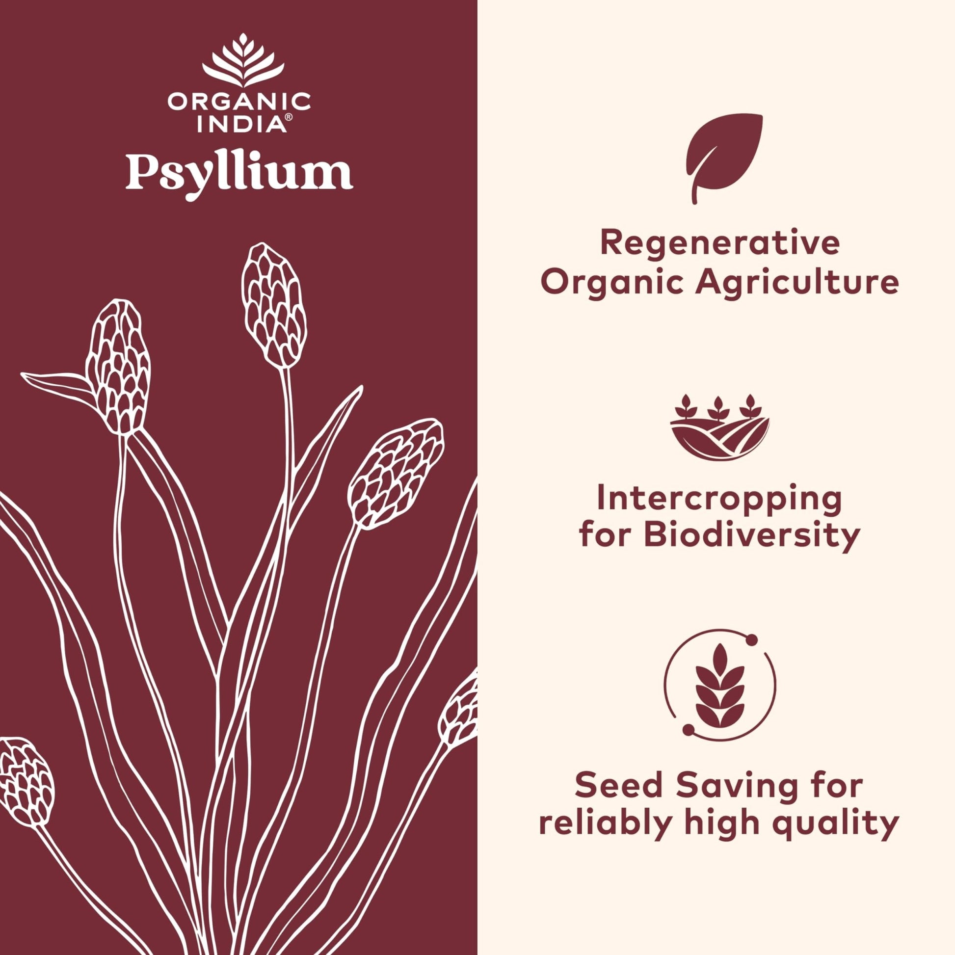 ORGANIC INDIA Psyllium Husk Capsules - Fiber Supplement, Healthy Elimination - Vegan, Keto Friendly, Gluten-Free, USDA Certified Organic, Non-GMO - dailyvitalstore