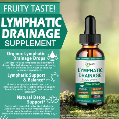 Organic Lymphatic Drainage Drops | 17-in-1 Lymphatic Drainage Supplement | Echinacea,Elderberry,Dandelion | High Absorption Liposomal Lymphatic Drainage for Immune Support,Lymph Cleanse&Detox,2 fl oz - dailyvitalstore