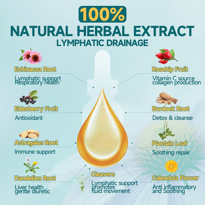 Organic Lymphatic Drainage Drops - Lymphatic Drainage Supplement with Echinacea for Lymph System Support, Elderberry, Astragalus, Cleavers, Burdock & Dandelion for Lymphatic Cleanse & Detox-2 Fl Oz - dailyvitalstore