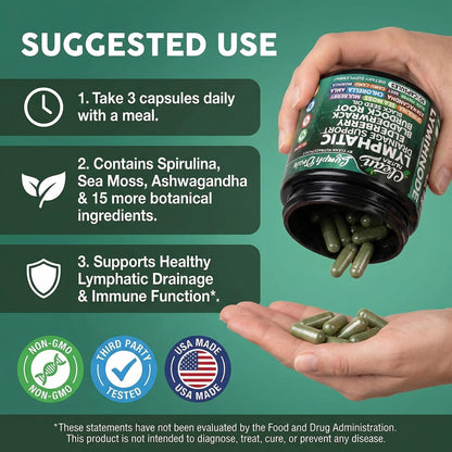 Organic Lymphatic Drainage Supplements | Elderberry Bladderwrack Burdock Root Black Seed Oil Spirulina Sea Moss Ashwagandha Chlorella Amla Beet Moringa Chlorophyll Lymph System Capsules By Clean Nutra - dailyvitalstore