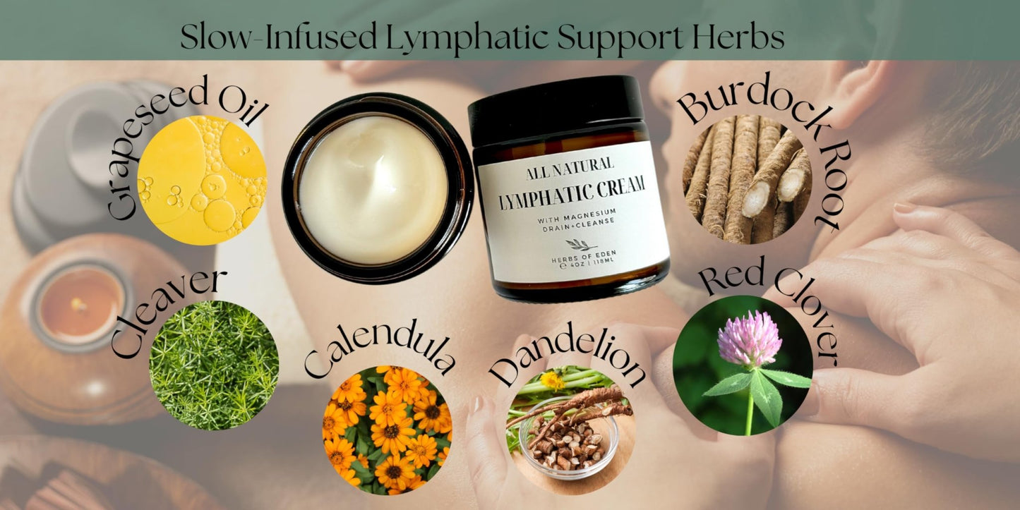 Organic Lymphatic Massage Cream with Magnesium – Natural Topical Cream | Stimulate Lymph Fluid | Family Owned, Made in USA - dailyvitalstore