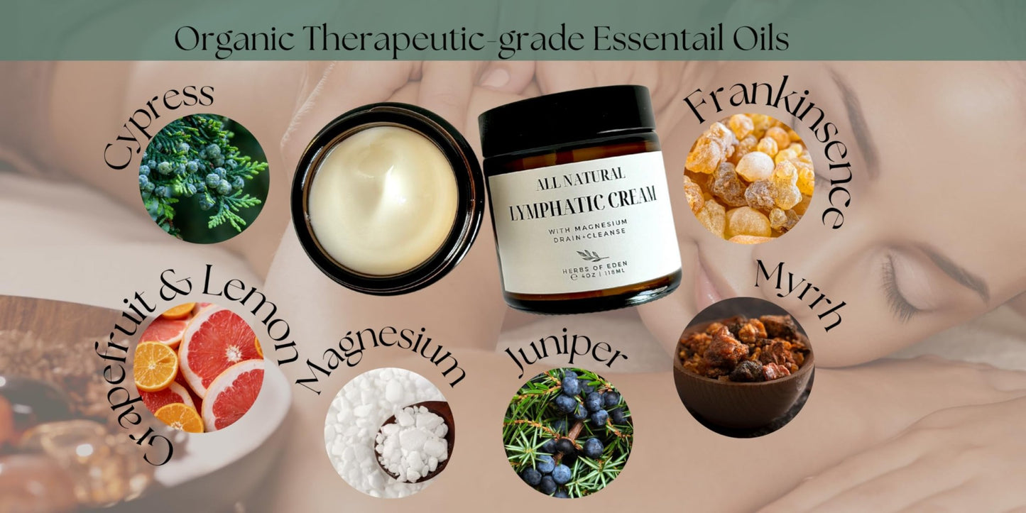 Organic Lymphatic Massage Cream with Magnesium – Natural Topical Cream | Stimulate Lymph Fluid | Family Owned, Made in USA - dailyvitalstore
