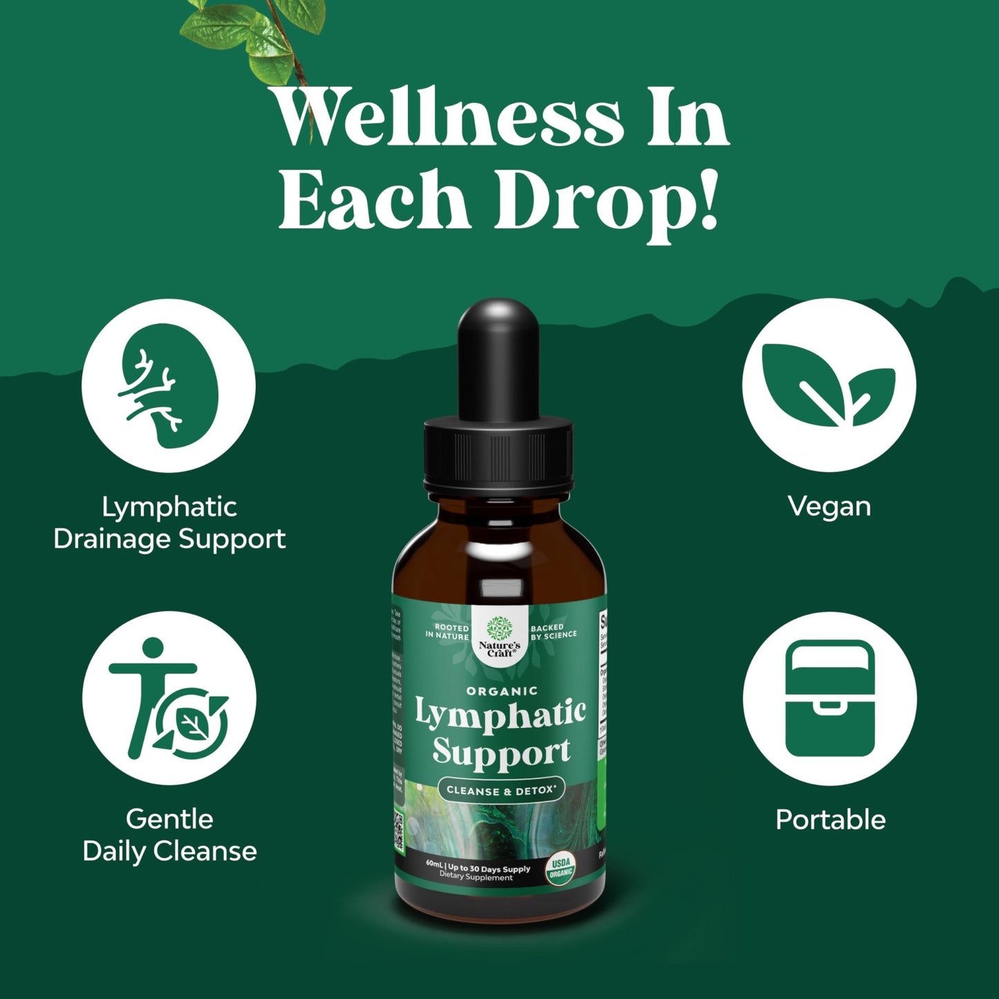 Organic Lymphatic Support Drainage Drops - Herbal Lymphatic Cleanse and Immune Support Supplement with Organic Echinacea Goldenseal & Red Clover Extract - Vegan Non GMO and Alcohol Free - 2 Fl Oz - dailyvitalstore