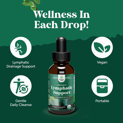 Organic Lymphatic Support Drainage Drops - Herbal Lymphatic Cleanse and Immune Support Supplement with Organic Echinacea Goldenseal & Red Clover Extract - Vegan Non GMO and Alcohol Free - 2 Fl Oz - dailyvitalstore