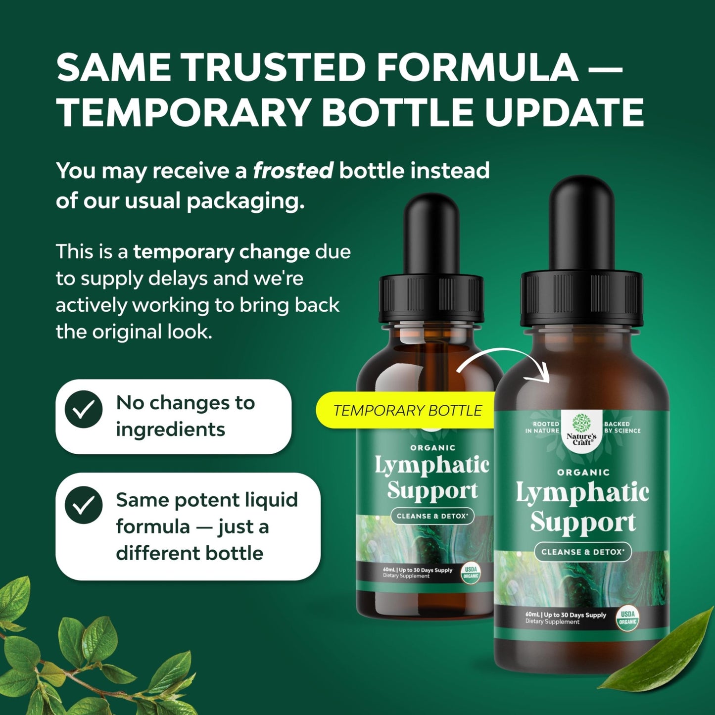 Organic Lymphatic Support Drainage Drops - Herbal Lymphatic Cleanse and Immune Support Supplement with Organic Echinacea Goldenseal & Red Clover Extract - Vegan Non GMO and Alcohol Free - 2 Fl Oz - dailyvitalstore