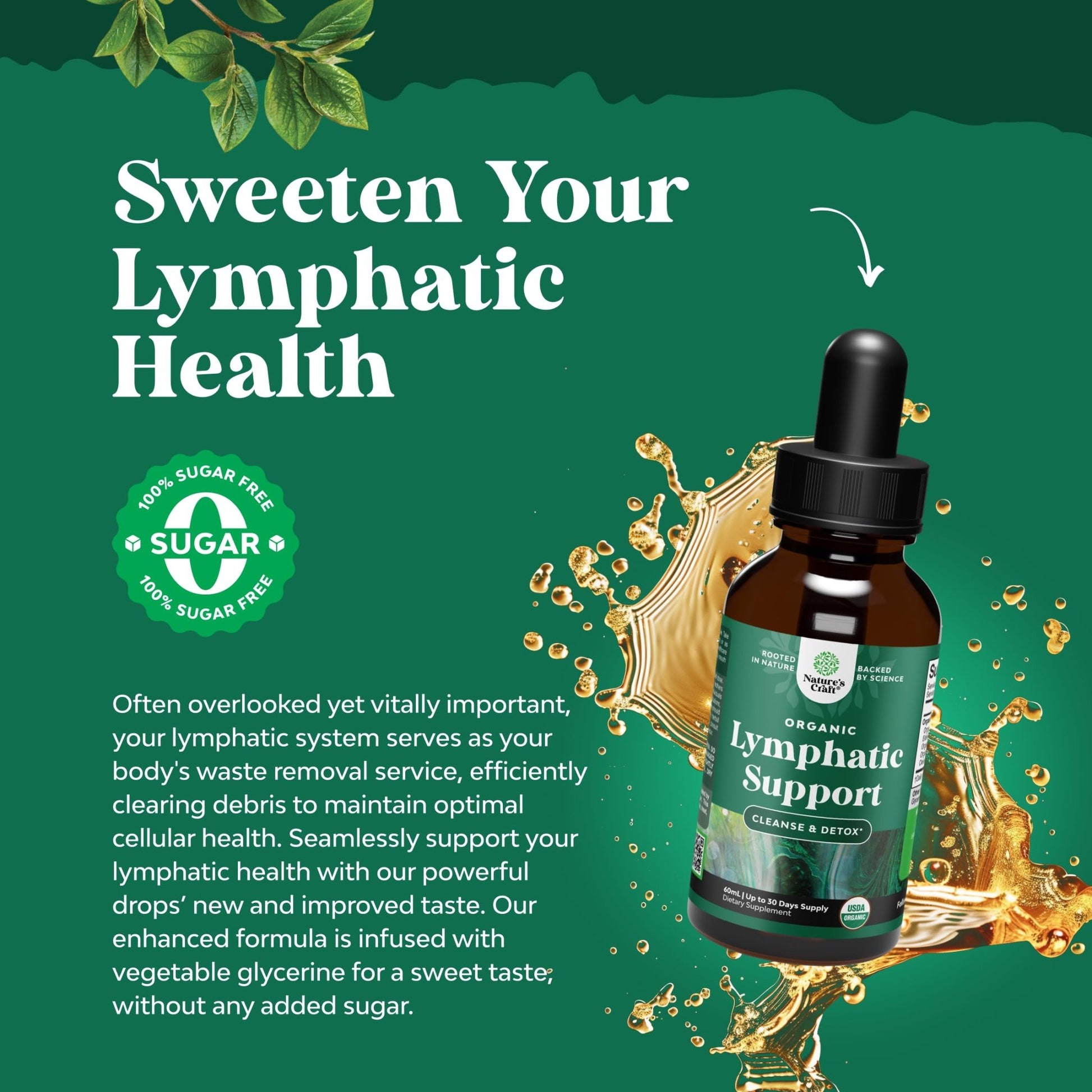Organic Lymphatic Support Drainage Drops - Herbal Lymphatic Cleanse and Immune Support Supplement with Organic Echinacea Goldenseal & Red Clover Extract - Vegan Non GMO and Alcohol Free - 2 Fl Oz - dailyvitalstore