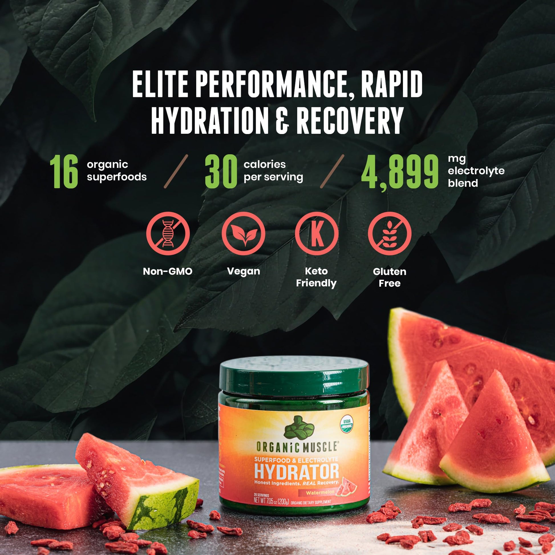 Organic Muscle Hydrator | Natural Electrolyte Powder for Peak Performance & Recovery - Watermelon Flavor, 20 Servings - dailyvitalstore