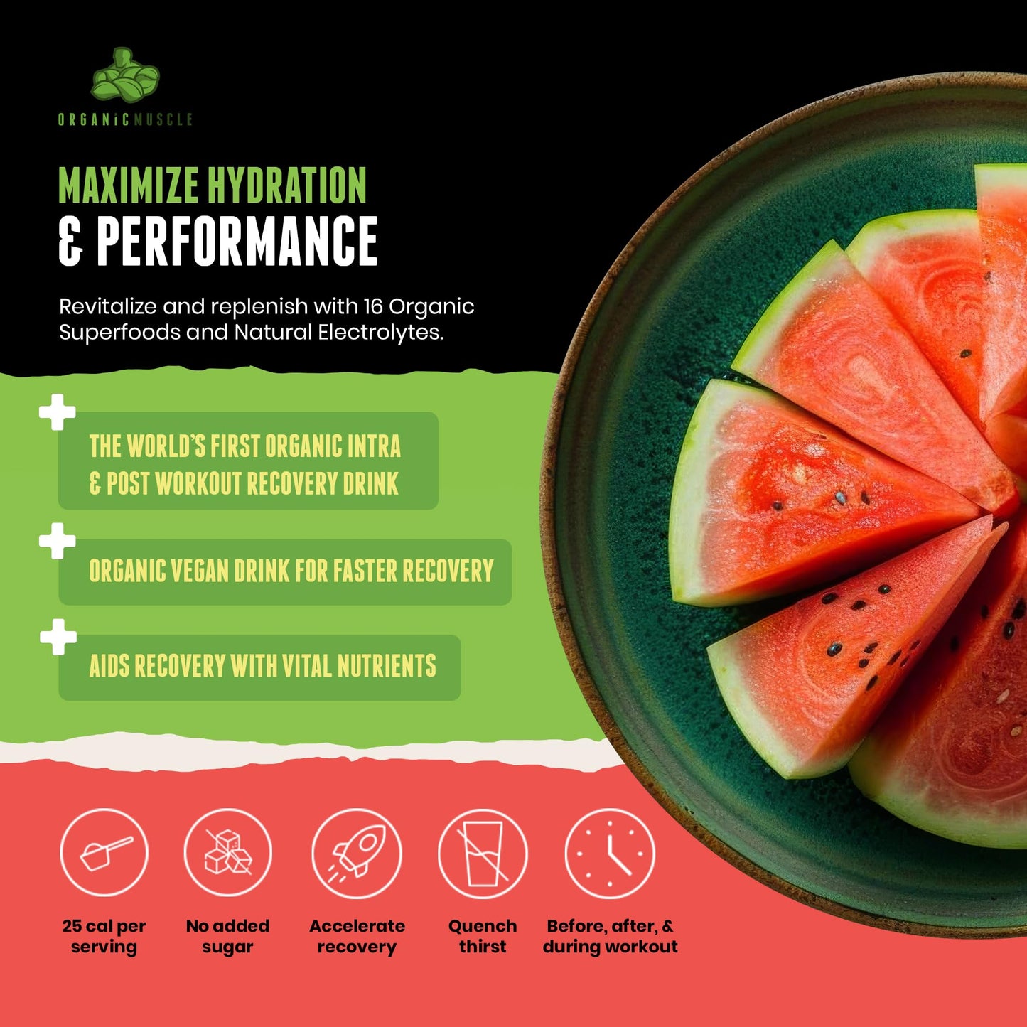 Organic Muscle Hydrator | Natural Electrolyte Powder for Peak Performance & Recovery - Watermelon Flavor, 20 Servings - dailyvitalstore