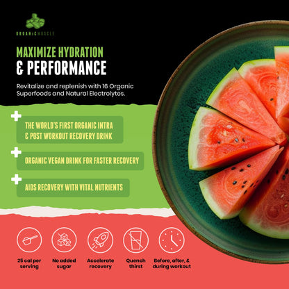 Organic Muscle Hydrator | Natural Electrolyte Powder for Peak Performance & Recovery - Watermelon Flavor, 20 Servings - dailyvitalstore