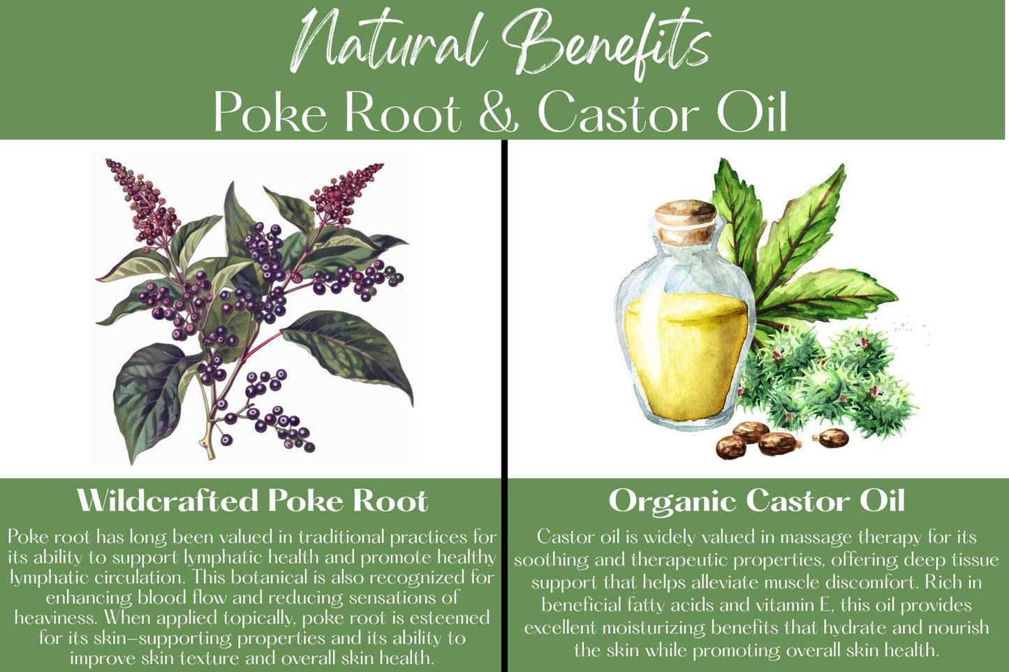 Organic Poke Root & Castor Oil Salve | Vegan Lymphatic Support | Enriched with Essential Oils | Cysts, Boils, Fibroids, Swollen Lymph Nodes, Breast & Joint (1oz, Frankincense) - dailyvitalstore