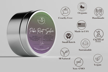 Organic Poke Root Castor Oil Salve | Vegan Lymphatic Support | Enriched with Essential Oils | Cysts, Boils, Fibroids, Swollen Lymph Nodes, Breast & Joint (1oz, Lilac) - dailyvitalstore