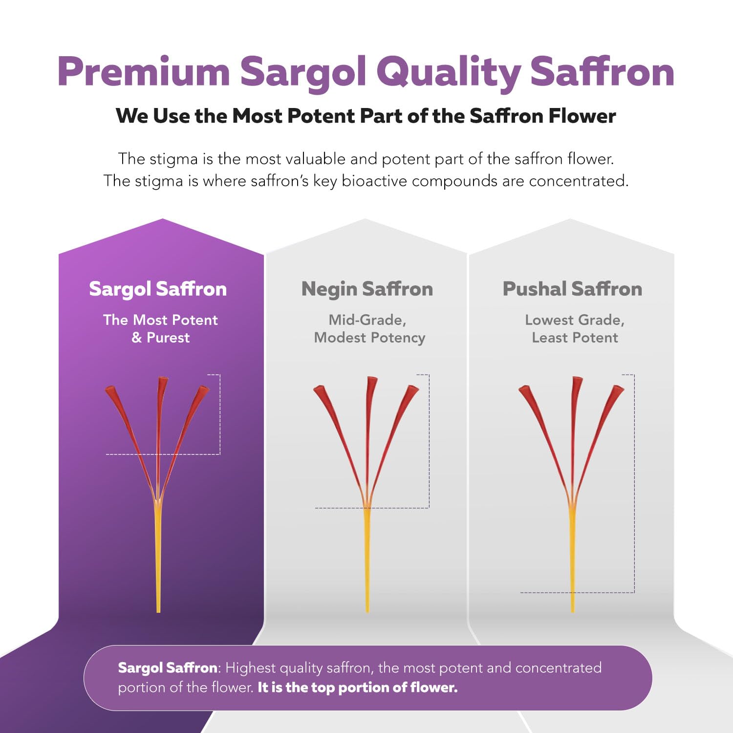 Organic Saffron Extract: Optimized Extract with Safromotivines, Safranal, and Crocins – Clinically Studied | Premium Persian Sargol Quality | Supports Mood, - dailyvitalstore