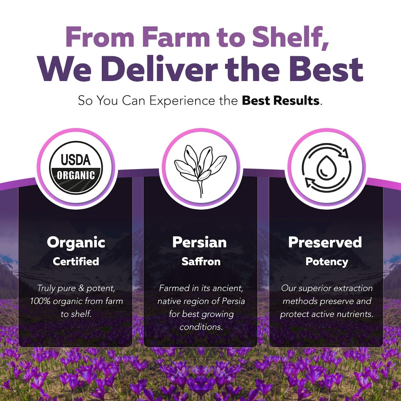 Organic Saffron Extract: Optimized Extract with Safromotivines, Safranal, and Crocins – Clinically Studied | Premium Persian Sargol Quality | Supports Mood, - dailyvitalstore