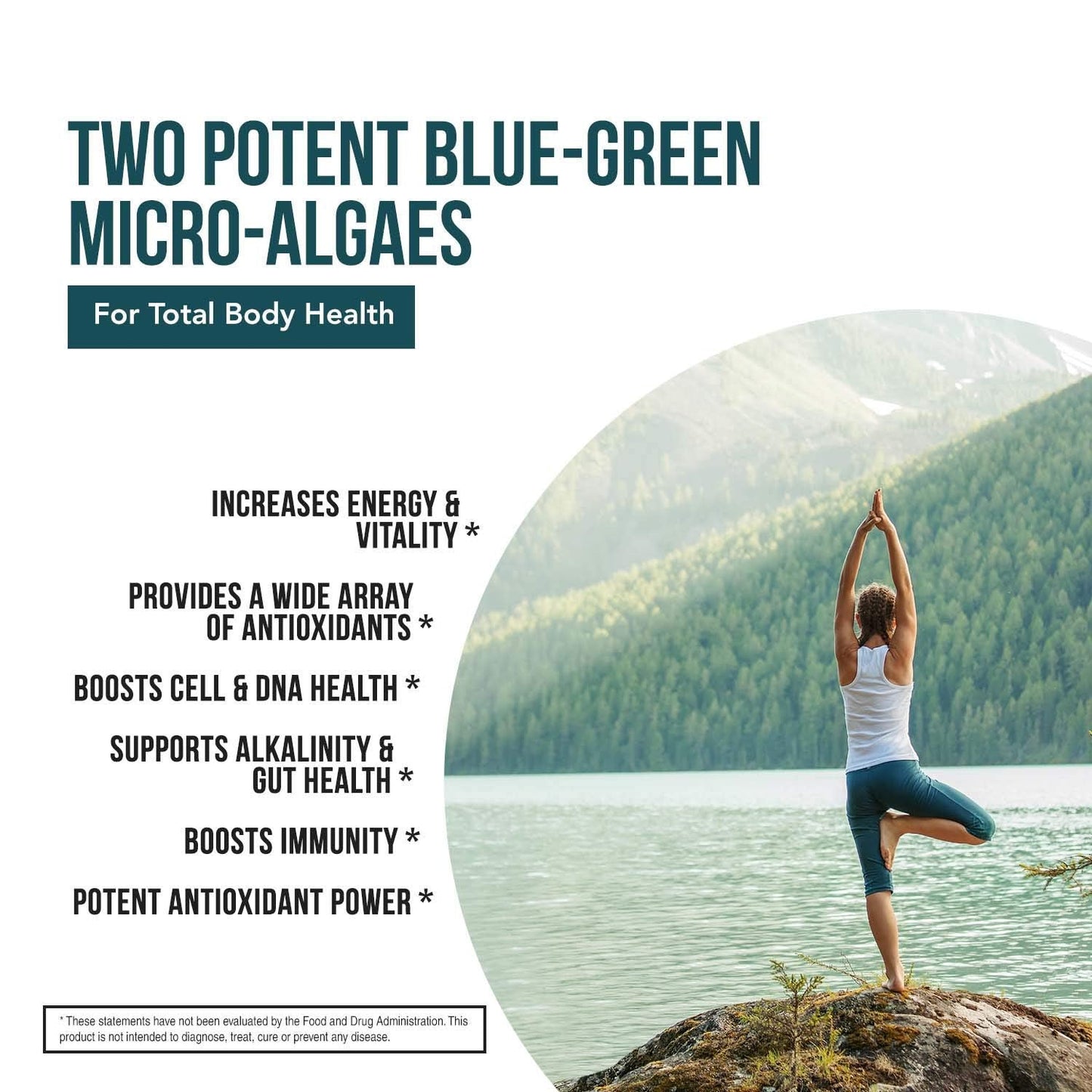 Organic Spirulina & Chlorella Tablets – 4 Organic Certifications, Raw, Non-Irradiated – 50/50 Blue Green Algae Blend – Antioxidant Content Equal to 5 Servings of Vegetables (120 Tablets) - dailyvitalstore