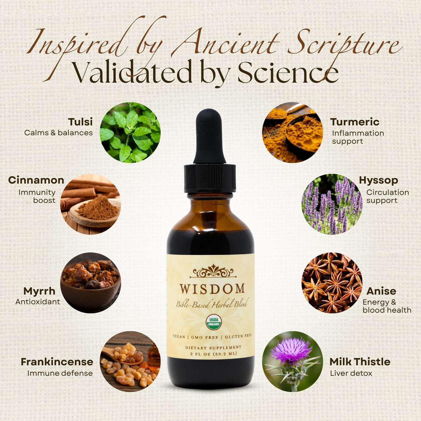 Organic Turmeric, Frankincense and Myrrh – Herbal Supplement Blend for Energy, Detox, Focus, Immunity & Stress – Non-GMO Vegan Tonic with Milk Thistle – Wisdom Bible Based Blend – 2oz Liquid Drops - dailyvitalstore