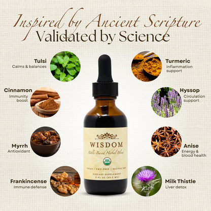 Organic Turmeric, Frankincense and Myrrh – Herbal Supplement Blend for Energy, Detox, Focus, Immunity & Stress – Non-GMO Vegan Tonic with Milk Thistle – Wisdom Bible Based Blend – 2oz Liquid Drops - dailyvitalstore