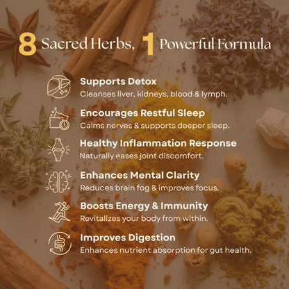 Organic Turmeric, Frankincense and Myrrh – Herbal Supplement Blend for Energy, Detox, Focus, Immunity & Stress – Non-GMO Vegan Tonic with Milk Thistle – Wisdom Bible Based Blend – 2oz Liquid Drops - dailyvitalstore