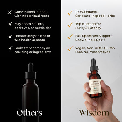 Organic Turmeric, Frankincense and Myrrh – Herbal Supplement Blend for Energy, Detox, Focus, Immunity & Stress – Non-GMO Vegan Tonic with Milk Thistle – Wisdom Bible Based Blend – 2oz Liquid Drops - dailyvitalstore