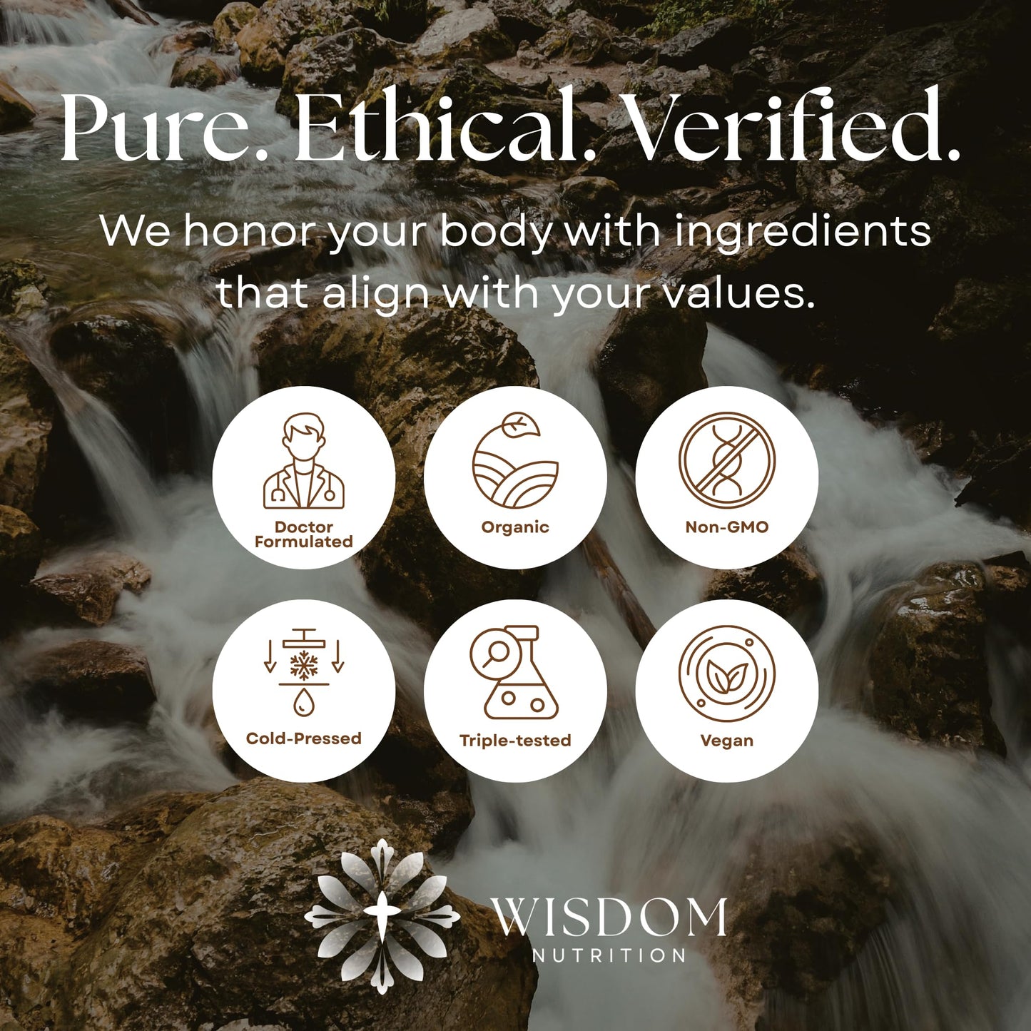 Organic Turmeric, Frankincense and Myrrh – Herbal Supplement Blend for Energy, Detox, Focus, Immunity & Stress – Non-GMO Vegan Tonic with Milk Thistle – Wisdom Bible Based Blend – 2oz Liquid Drops - dailyvitalstore