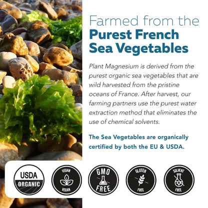 Organic Whole Food Magnesium Supplement - Plant-Based, Organic Sea Vegetable Complex - 250 mg Per Serving | Water Extracted | Gentle on Stomach | Supports Energy, Sleep, Muscle, Heart - 60 Capsules - dailyvitalstore