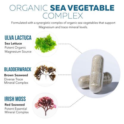 Organic Whole Food Magnesium Supplement - Plant-Based, Organic Sea Vegetable Complex - 250 mg Per Serving | Water Extracted | Gentle on Stomach | Supports Energy, Sleep, Muscle, Heart - 60 Capsules - dailyvitalstore
