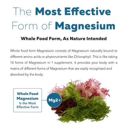 Organic Whole Food Magnesium Supplement - Plant-Based, Organic Sea Vegetable Complex - 250 mg Per Serving | Water Extracted | Gentle on Stomach | Supports Energy, Sleep, Muscle, Heart - 60 Capsules - dailyvitalstore