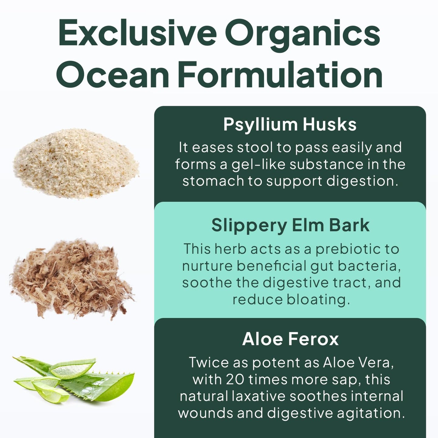 Organics Ocean Better Fiber - Daily Fiber Supplement - Soften Stool for Effortless Bowel Movements - with Psyllium Hulk and Slippery Elm - 90 Capsules - dailyvitalstore