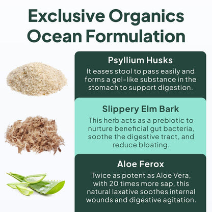 Organics Ocean Better Fiber - Daily Fiber Supplement - Soften Stool for Effortless Bowel Movements - with Psyllium Hulk and Slippery Elm - 90 Capsules - dailyvitalstore