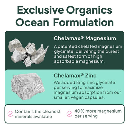 Organics Ocean Pure Magnesium Glycinate with Zinc - Maximum Strength Chelated Magnesium Supplement for Women and Men - dailyvitalstore