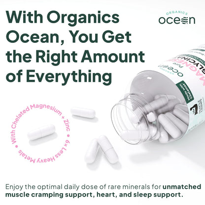 Organics Ocean Pure Magnesium Glycinate with Zinc - Maximum Strength Chelated Magnesium Supplement for Women and Men for Muscle Cramps and Sleep Support - 90 Capsule - dailyvitalstore