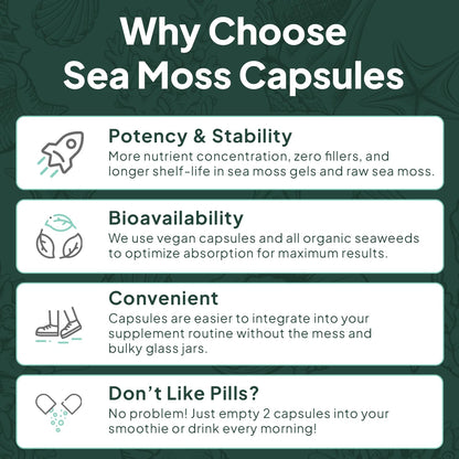Organics Ocean Wild Sea Moss Capsules - 100% Organic Irish Sea Moss with Organic Chlorella, Bladderwrack and Vitamin D for Energy, Lung Health and Thyroid Support for Women and Men - 60 Capsules - dailyvitalstore