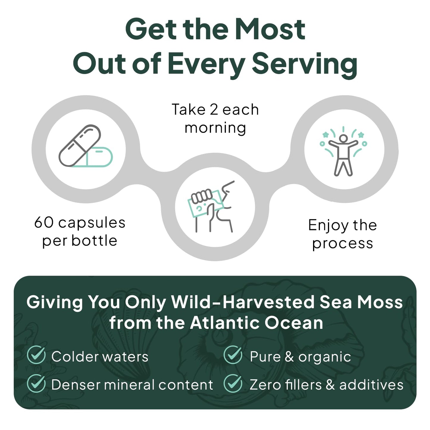Organics Ocean Wild Sea Moss Capsules - 100% Organic Irish Sea Moss with Organic Chlorella, Bladderwrack and Vitamin D for Energy, Lung Health and Thyroid Support for Women and Men - 60 Capsules - dailyvitalstore