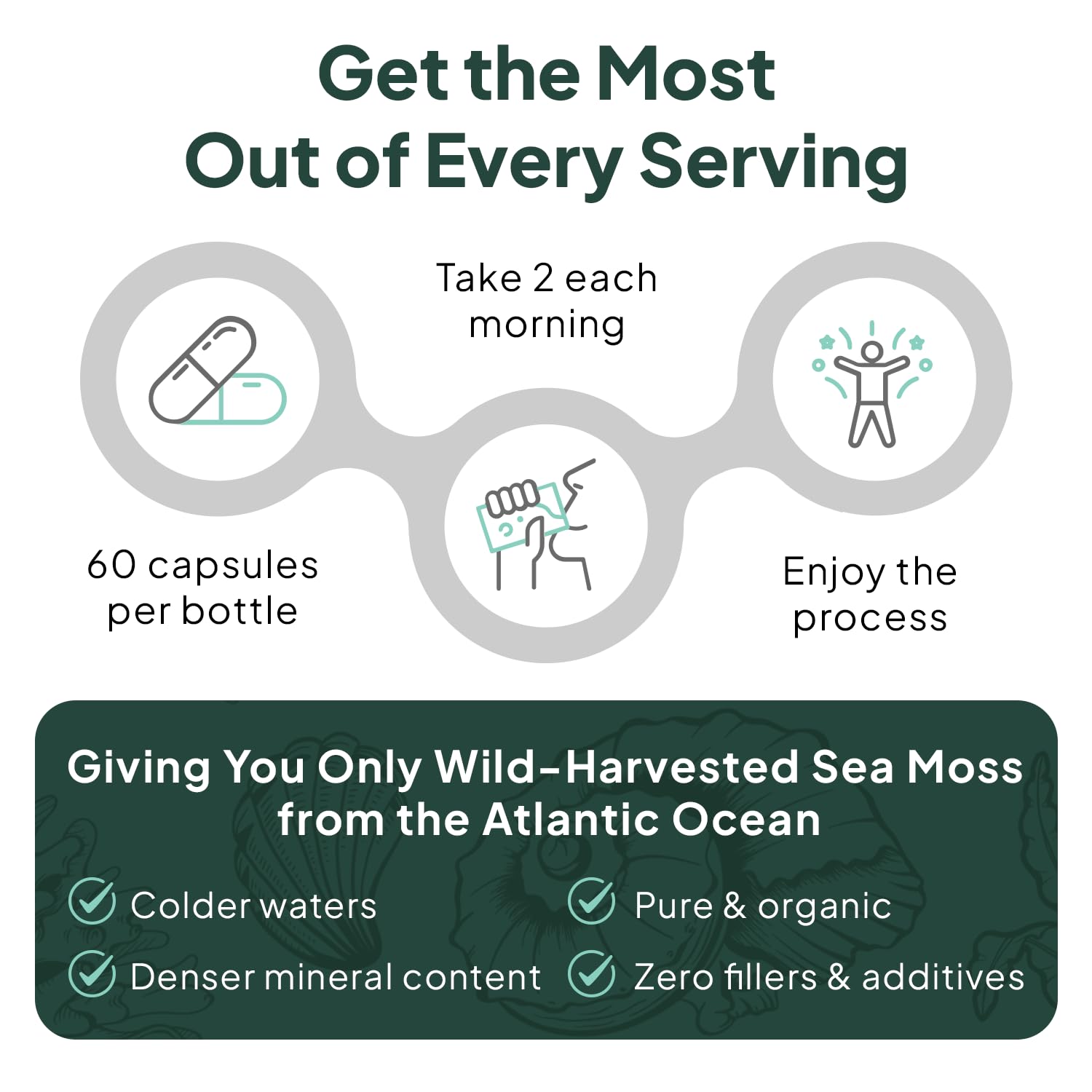 Organics Ocean Wild Sea Moss Capsules - 100% Organic Irish Sea Moss with Organic Chlorella, Bladderwrack and Vitamin D for Energy, Lung Health and Thyroid Support for Women and Men - 60 Capsules - dailyvitalstore