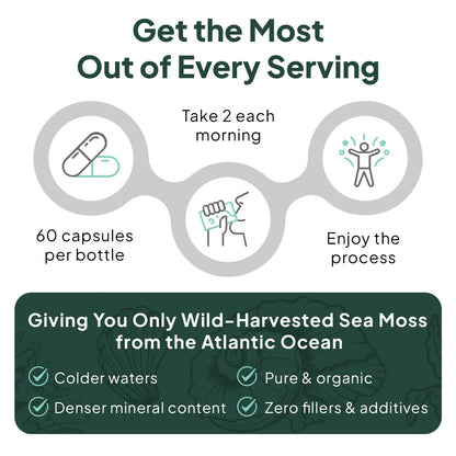 Organics Ocean Wild Sea Moss Capsules - 100% Organic Irish Sea Moss with Organic Chlorella, Bladderwrack and Vitamin D for Energy, Lung Health and Thyroid Support for Women and Men - 60 Capsules - dailyvitalstore