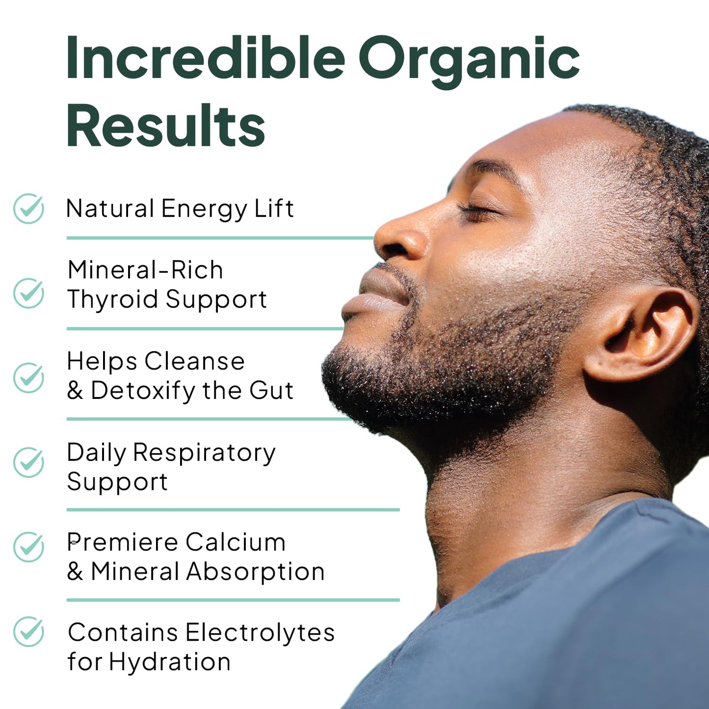 Organics Ocean Wild Sea Moss Capsules - 100% Organic Irish Sea Moss with Organic Chlorella, Bladderwrack and Vitamin D for Energy, Lung Health and Thyroid Support for Women and Men - 60 Capsules - dailyvitalstore