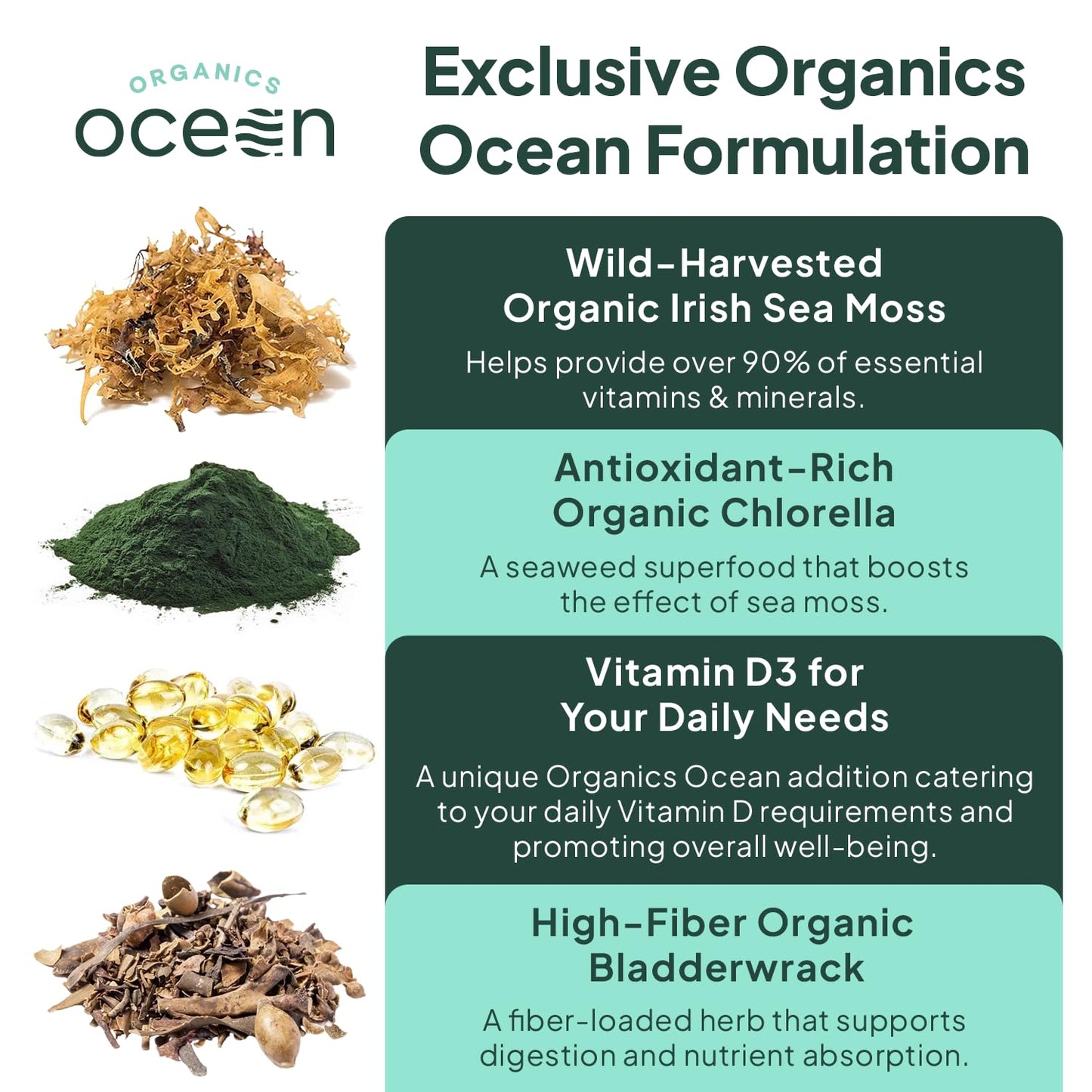 Organics Ocean Wild Sea Moss Capsules - 100% Organic Irish Sea Moss with Organic Chlorella, Bladderwrack and Vitamin D for Energy, Lung Health and Thyroid Support for Women and Men - 60 Capsules - dailyvitalstore