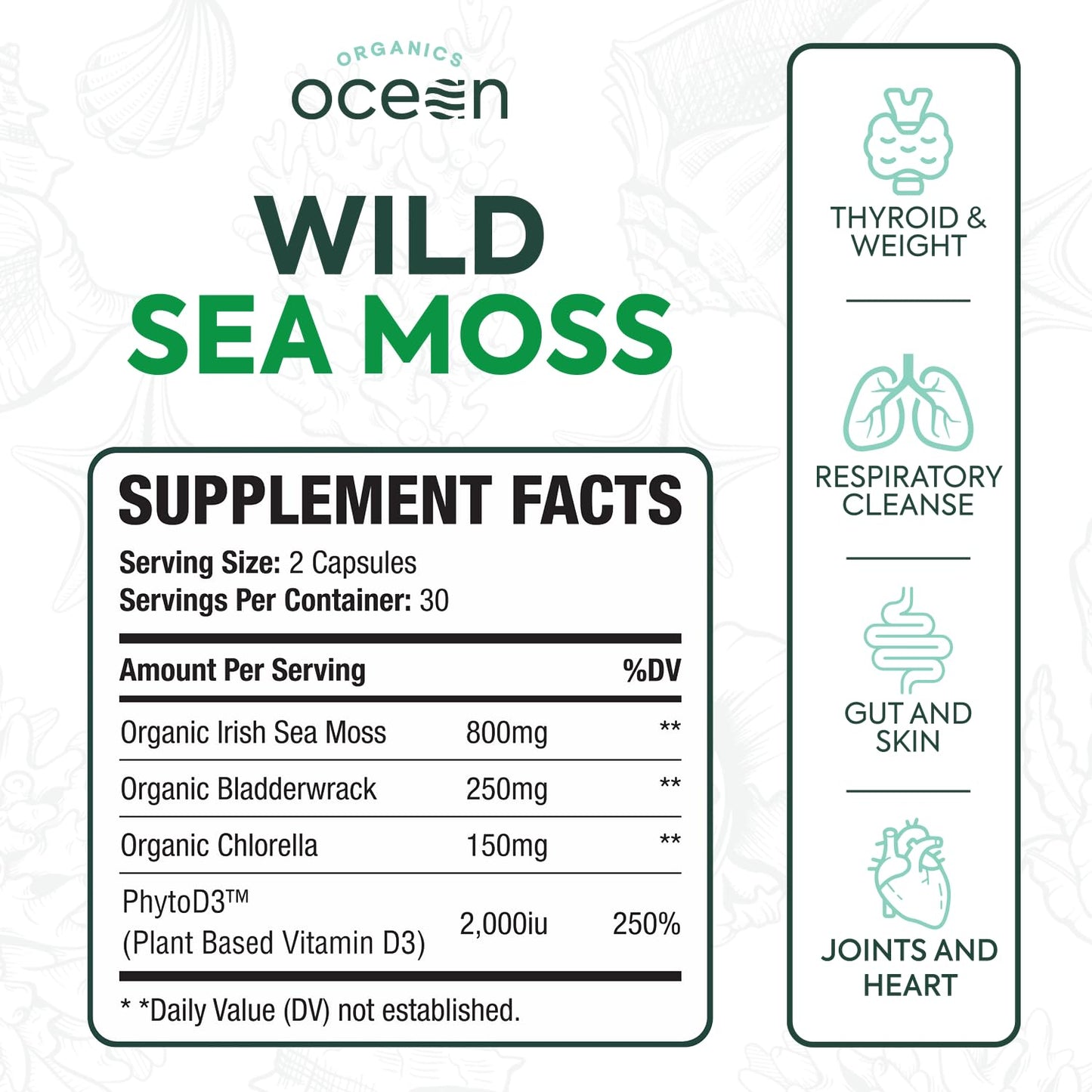 Organics Ocean Wild Sea Moss Capsules - 100% Organic Irish Sea Moss with Organic Chlorella, Bladderwrack and Vitamin D for Energy, Lung Health and Thyroid Support for Women and Men - 60 Capsules - dailyvitalstore