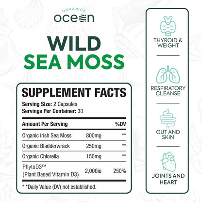 Organics Ocean Wild Sea Moss Capsules - 100% Organic Irish Sea Moss with Organic Chlorella, Bladderwrack and Vitamin D for Energy, Lung Health and Thyroid Support for Women and Men - 60 Capsules - dailyvitalstore