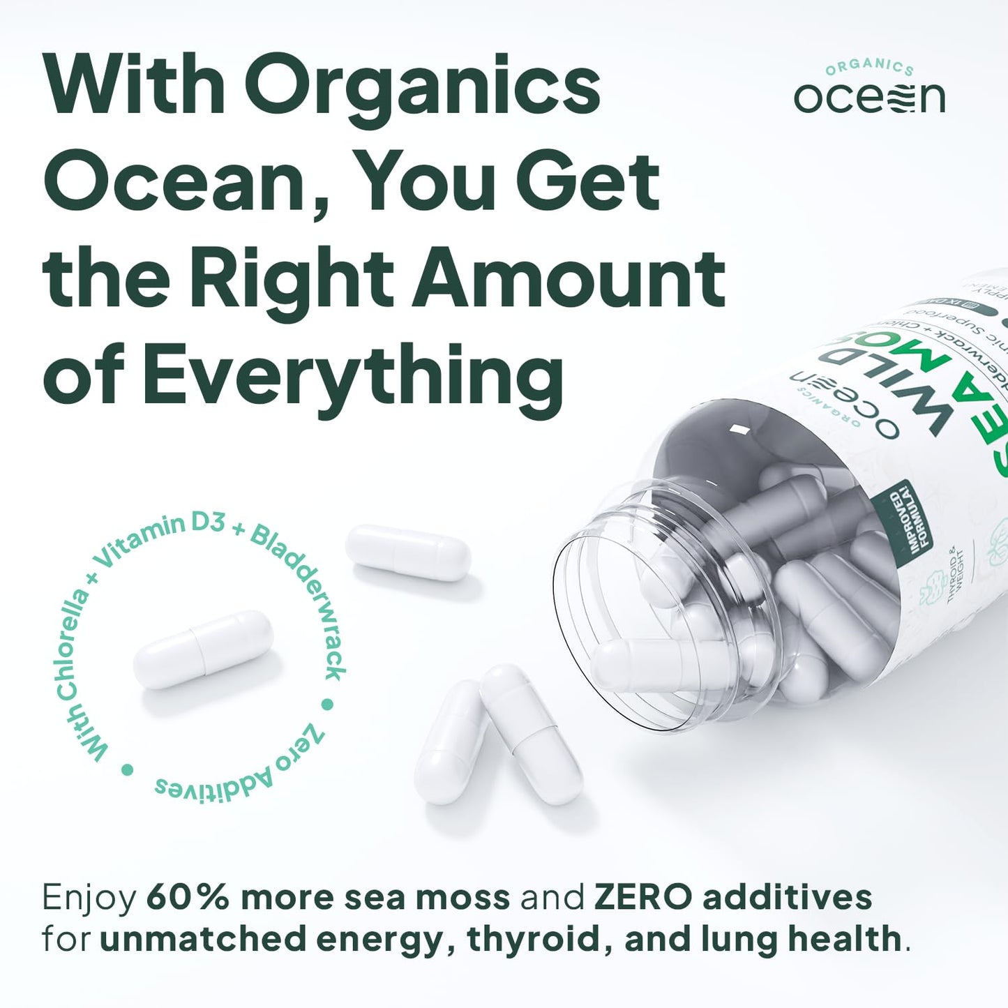 Organics Ocean Wild Sea Moss Capsules - 100% Organic Irish Sea Moss with Organic Chlorella, Bladderwrack and Vitamin D for Energy, Lung Health and Thyroid Support for Women and Men - 60 Capsules - dailyvitalstore