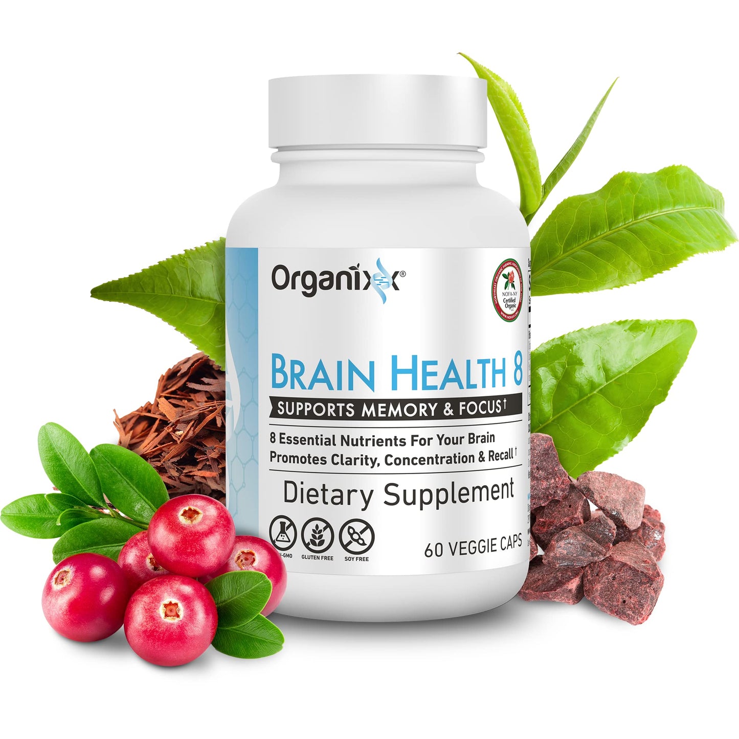 Organixx Ageless Brain Powerful Brain Health Supplement to Support Brain Function, Clarity, Focus, Re-Energize Brain Cells, Helps Promote a Balanced Mood, Gluten Free, Non GMO, 60 Vegetarian Capsules - dailyvitalstore