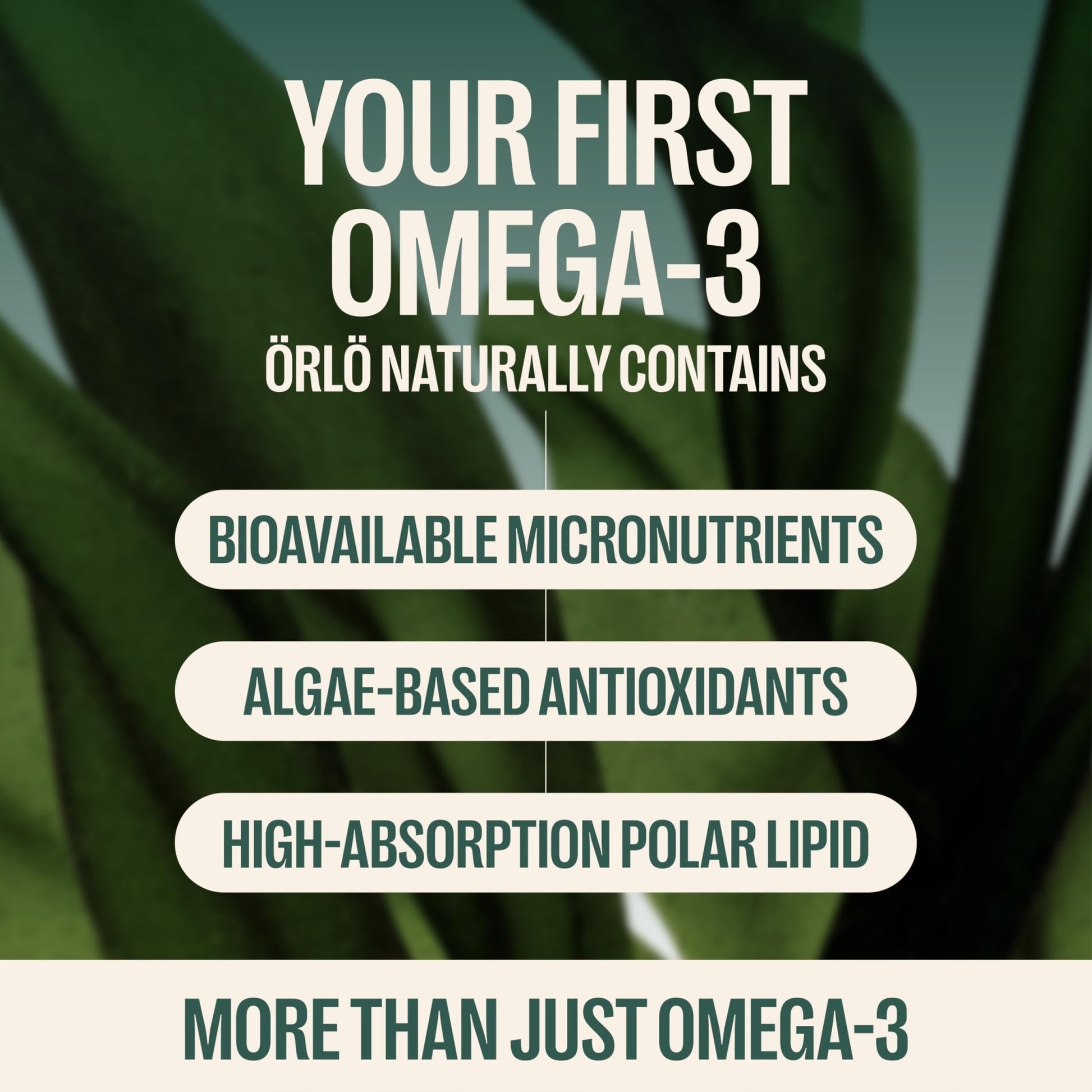 Orlo DHA Supplement 1000mg - 3X Absorption Natural Icelandic Nordic Omega 3 DHA & EPA for Brain & Eye Support – Vegan Fish Oil Alternative, No Fishy Aftertaste, 60 Easy-to-Swallow Mini Softgels - dailyvitalstore