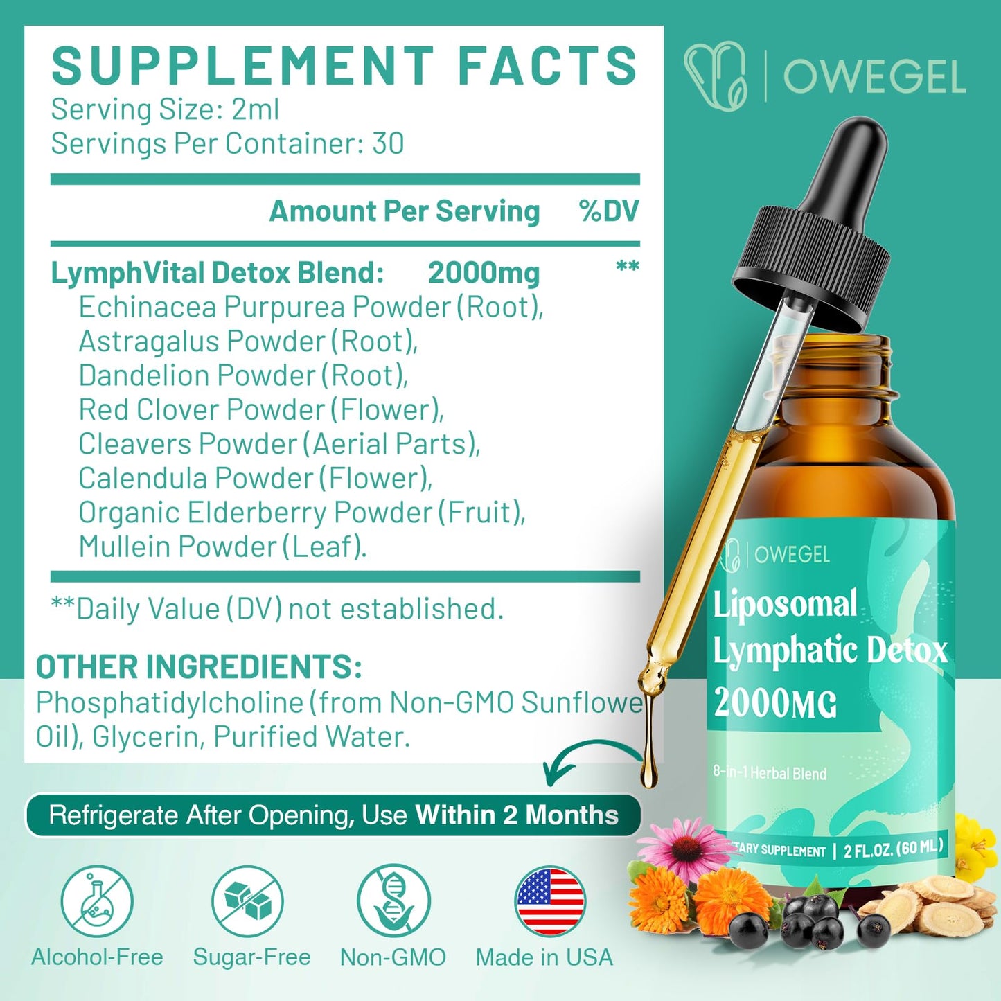 owegel Liposomal Lymphatic Drainage Drops 2000mg – Immune & Lymph System Support – Lymphatic Detox and Cleanse with Echinacea, Red Clover, Dandelion & Cleavers – Sugar-Free, Alcohol-Free – 2 FL OZ - dailyvitalstore