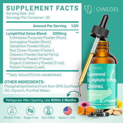 owegel Liposomal Lymphatic Drainage Drops 2000mg – Immune & Lymph System Support – Lymphatic Detox and Cleanse with Echinacea, Red Clover, Dandelion & Cleavers – Sugar-Free, Alcohol-Free – 2 FL OZ - dailyvitalstore