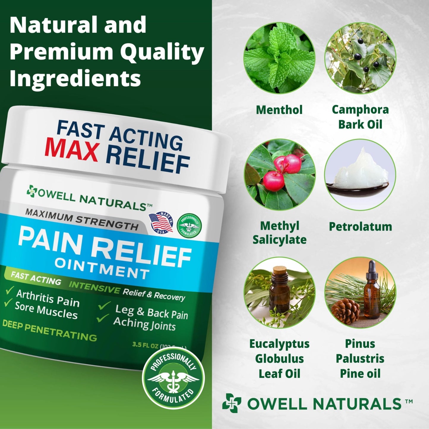 OWELL NATURALS Arthritis Pain Relief Ointment with Arnica & MSM – Deep Penetrating Joint & Muscle Therapy for Knee, Back, Sore Muscles, Legs, 3.5 oz (2 Pack) - dailyvitalstore