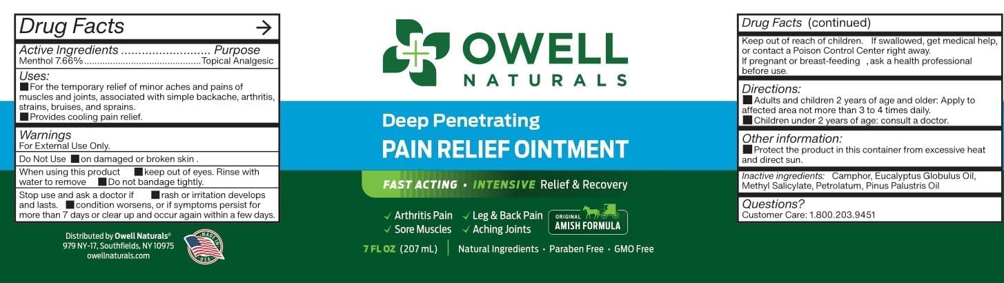 OWELL NATURALS Arthritis Pain Relief Ointment with Arnica & MSM – Deep Penetrating Joint & Muscle Therapy for Knee, Back, Sore Muscles, Legs, 3.5 oz (2 Pack) - dailyvitalstore
